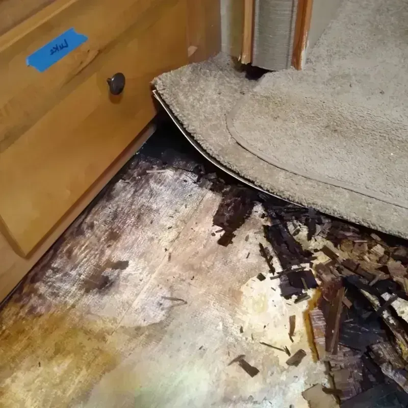 Wood Floor Water Damage in Wake County, NC